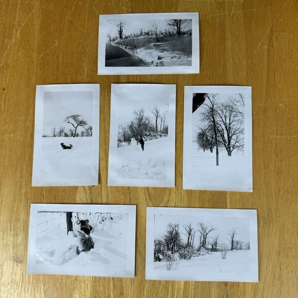 1940 Photos x6 Winter Snow Storm Charter Oak Clubhouse Greenbrier Rd Gopher Film - Picture 1 of 9